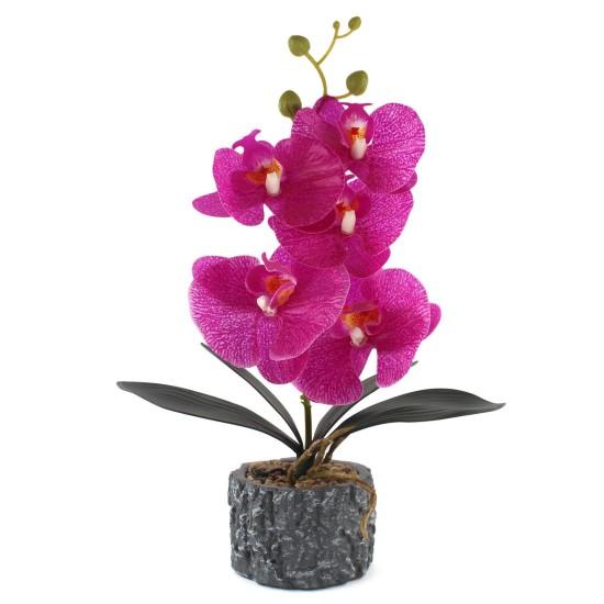 Yapay Islak Orkide