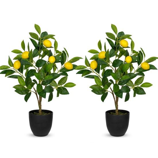 Yapay Limon Ağacı