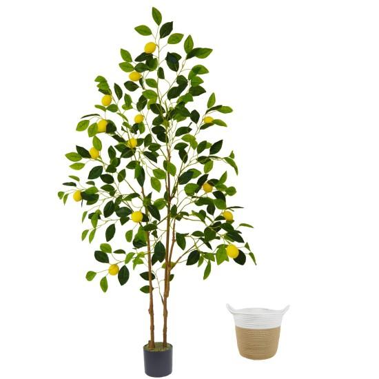 Yapay Limon Ağacı