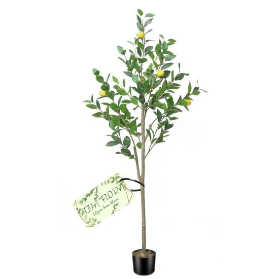 Yapay Limon Ağacı