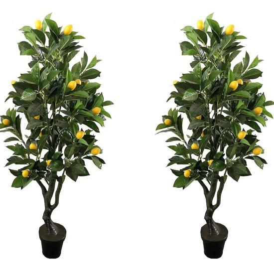 Yapay Limon Ağacı