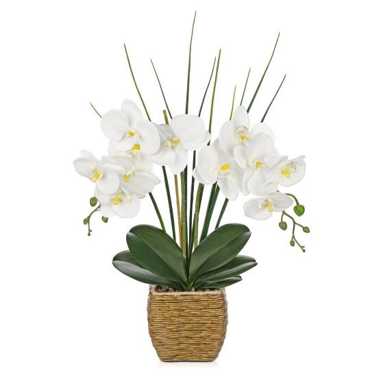 Yapay Orkide Aranjmanları