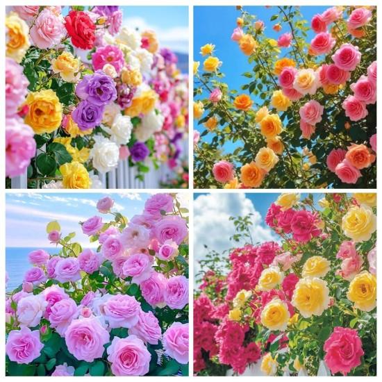 Yapay Sarmaşık Gül