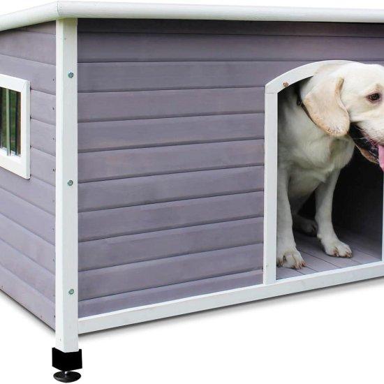 Ahşap Köpek Kulübesi