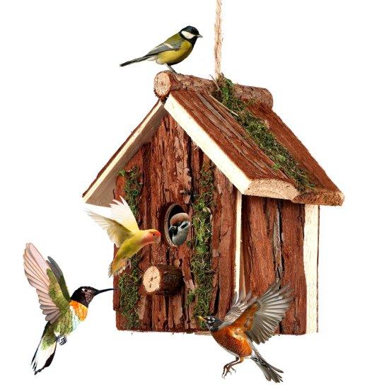 Ahşap Kuş Evi