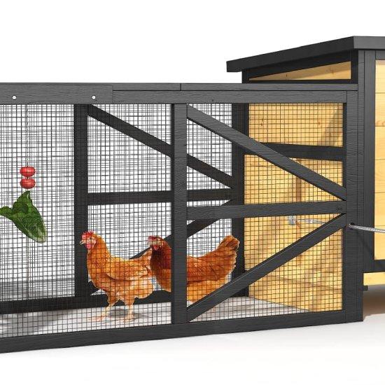 Ahşap Tavuk Kümesi