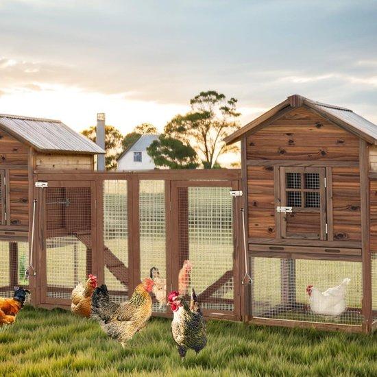 Ahşap Tavuk Kümesi