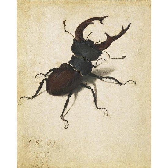 Albrecht Dürer Eserleri