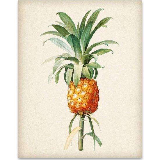 Ananas Fotoğrafı
