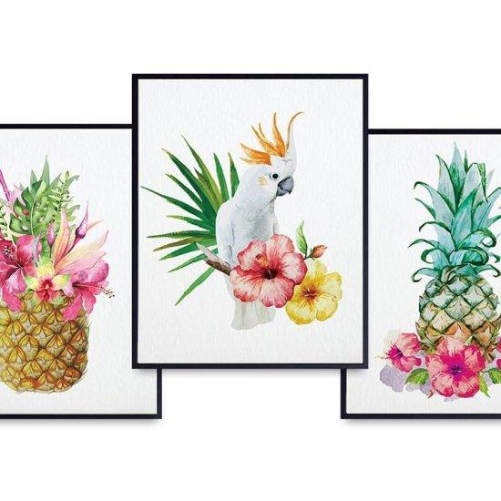 Ananas Fotoğrafı