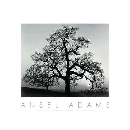 Ansel Adams