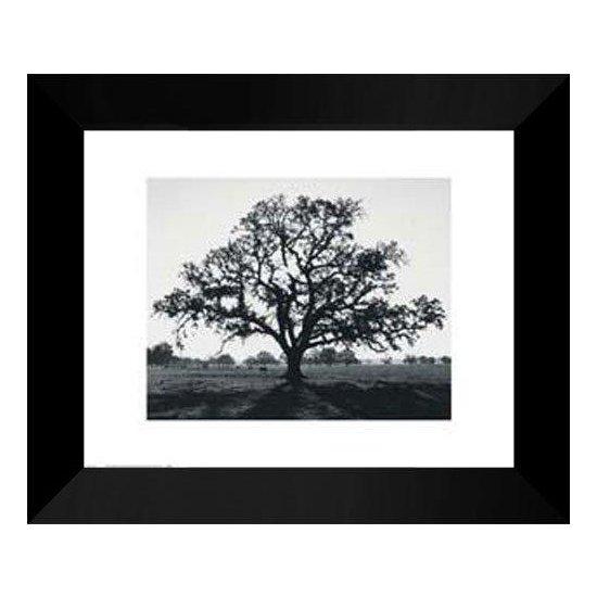 Ansel Adams