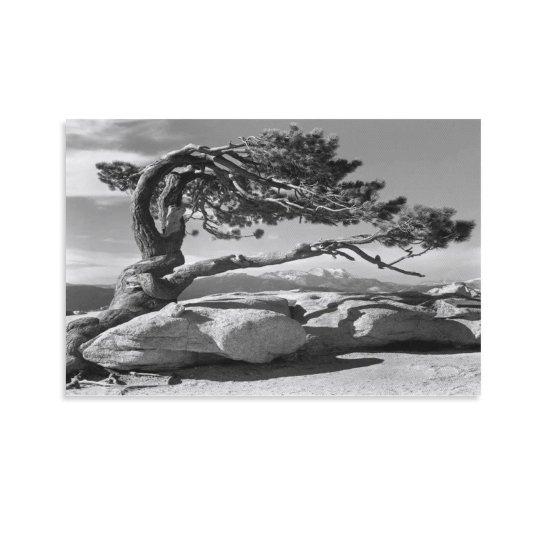 Ansel Adams