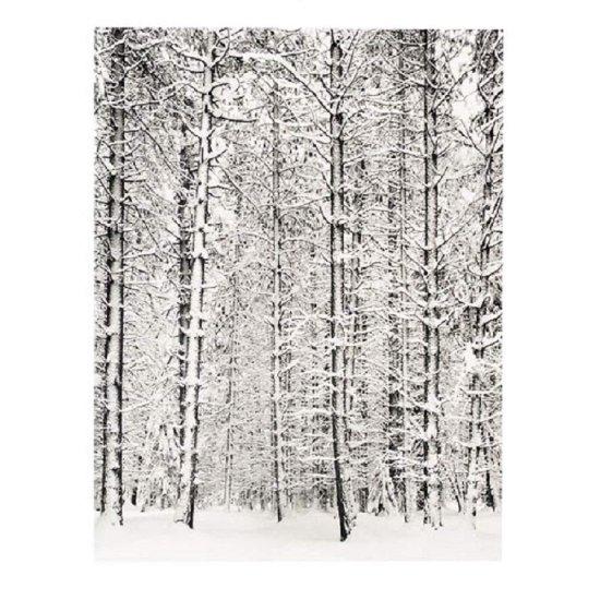 Ansel Adams