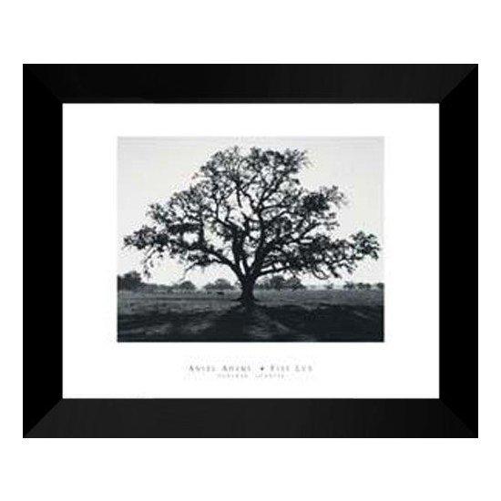 Ansel Adams
