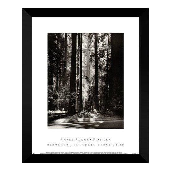 Ansel Adams