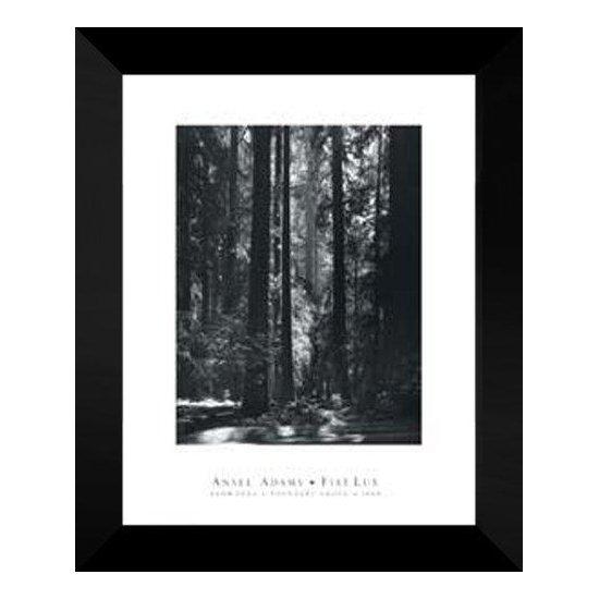 Ansel Adams