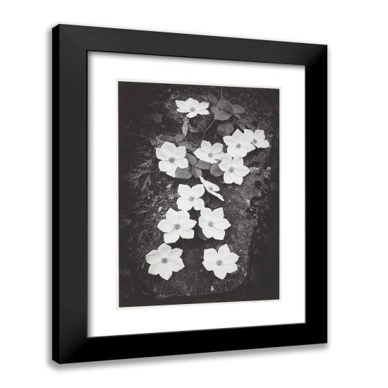Ansel Adams