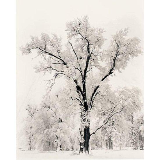 Ansel Adams