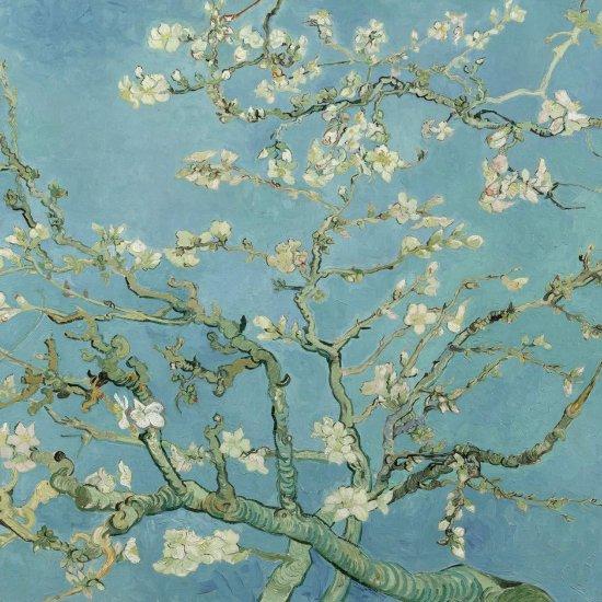 Badem Çiçekleri Van Gogh