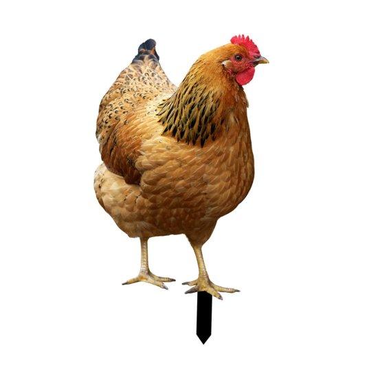 Bahçe Hayvan Heykelleri