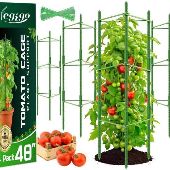 Bitki Tırmanma Kafesi