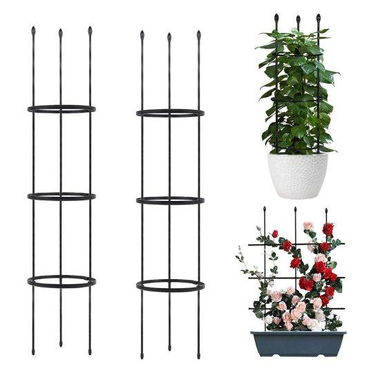 Bitki Tırmanma Kafesi