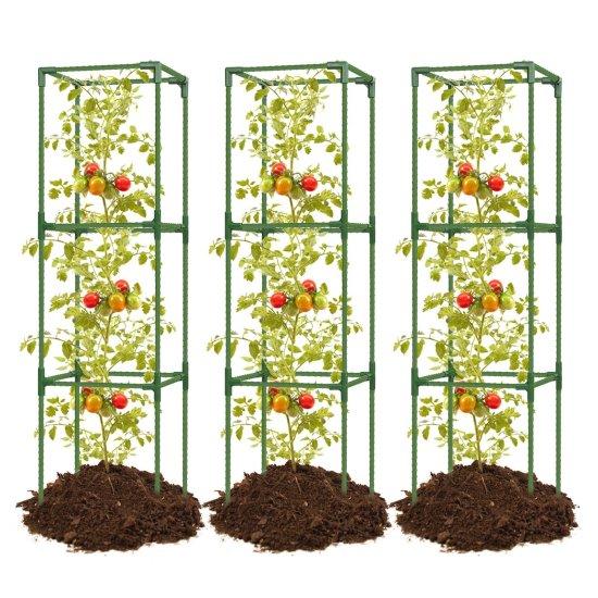 Bitki Tırmanma Kafesi