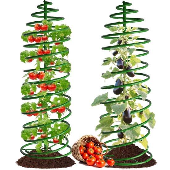 Bitki Tırmanma Kafesi