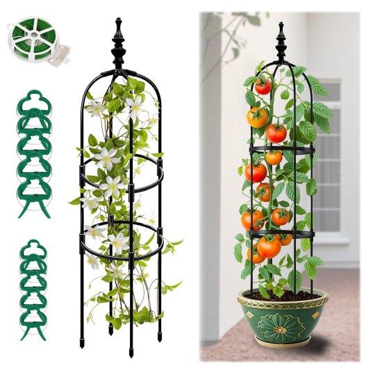 Bitki Tırmanma Kafesi