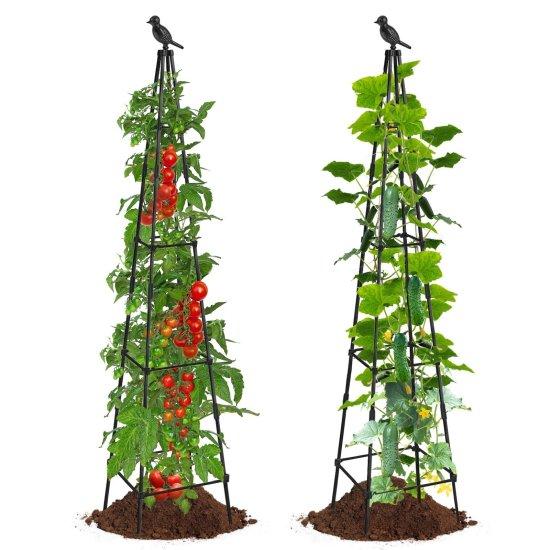 Bitki Tırmanma Kafesi