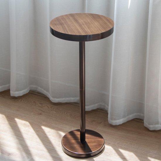 Bronz Zigon Sehpa