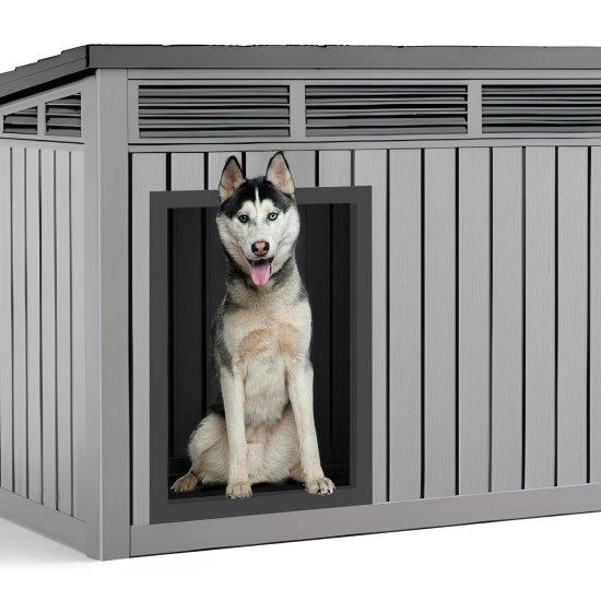 Büyük Köpek Kulübesi