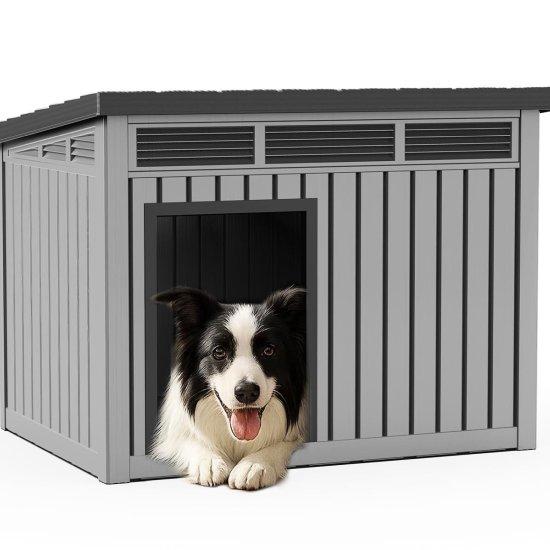 Büyük Köpek Kulübesi