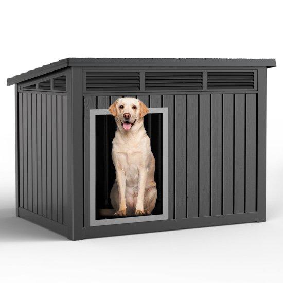 Büyük Köpek Kulübesi