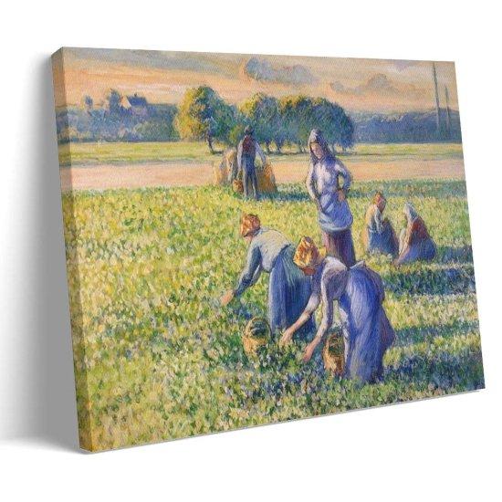 Camille Pissarro