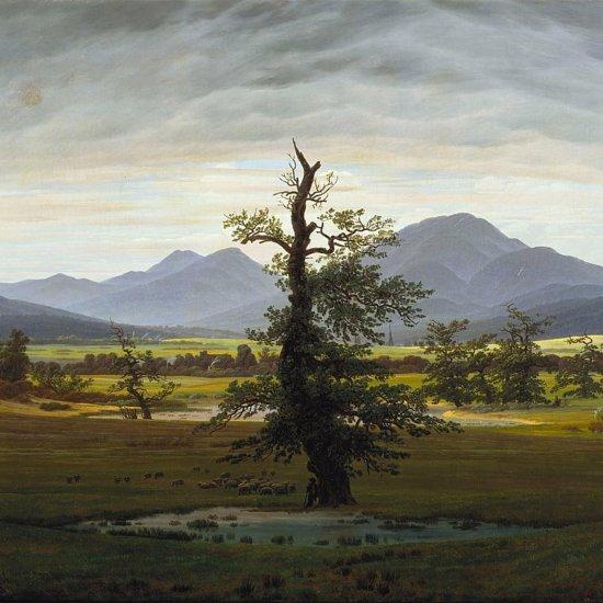 Caspar David Friedrich Yalnız Ağaç Kanvas Tablo
