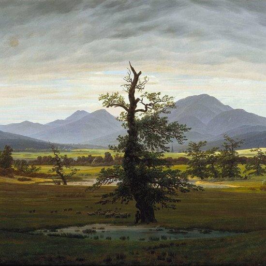 Caspar David Friedrich Yalnız Ağaç Kanvas Tablo