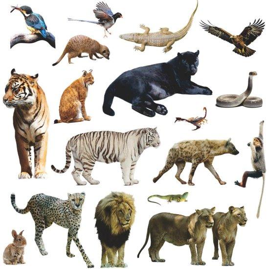 Çocuk Odası Sticker