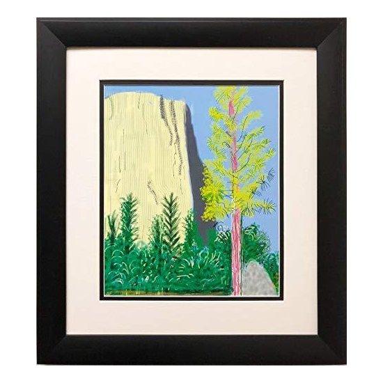 David Hockney