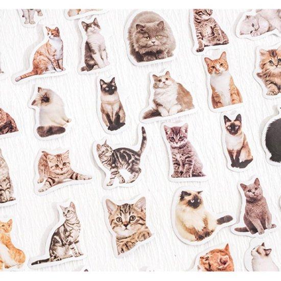 Defter Etiketi