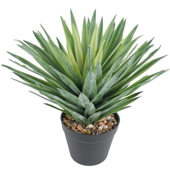 Deve Tabanı Yapay Çiçek