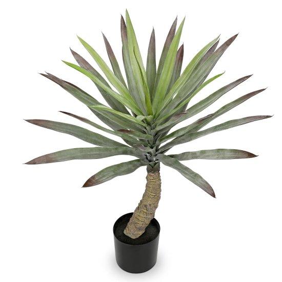 Deve Tabanı Yapay Çiçek