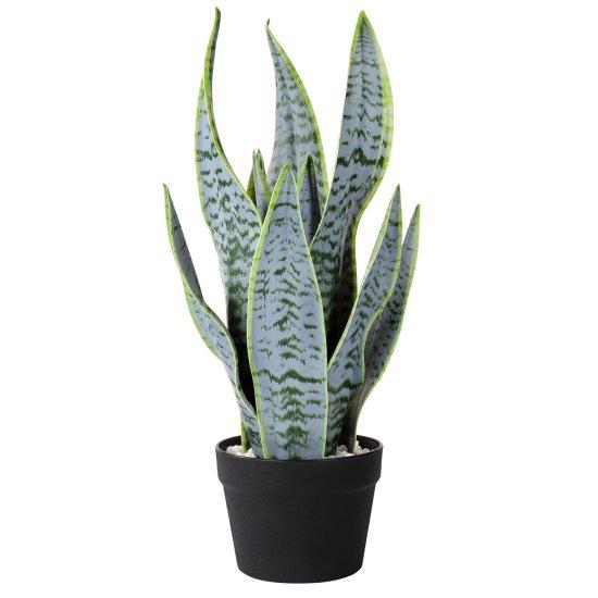 Deve Tabanı Yapay Çiçek