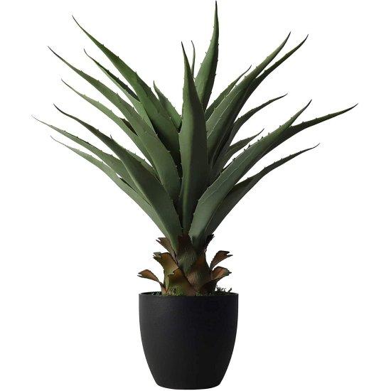 Deve Tabanı Yapay Çiçek