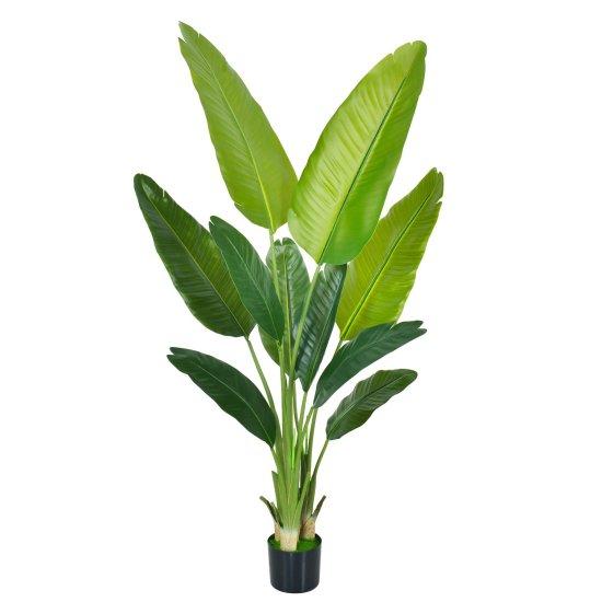 Deve Tabanı Yapay Çiçek