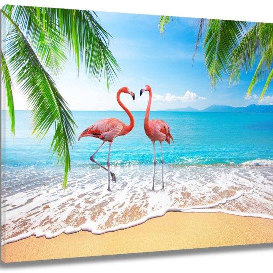 Flamingo Fotoğrafı