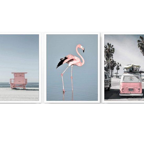 Flamingo Fotoğrafı