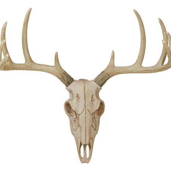 Geyik Kafası Dekor
