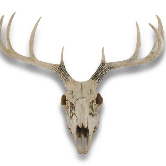 Geyik Kafası Dekor